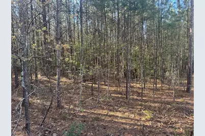 Tract 107 Hwy 156, Coldspring, TX 77331 - Photo 8