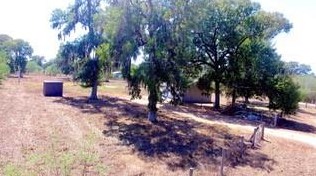 8639 Fm 2759 Rd, Richmond, TX 77469
