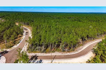 0311 Magnolia Ranch Road Road, Onalaska, TX 77360 - Photo 6