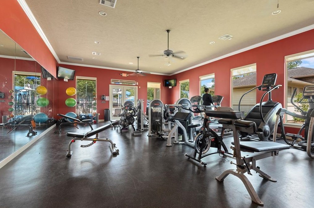 17711 Dove Tree Ln, Spring TX exterior