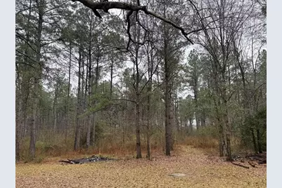 467 County Road 3035, Newton, TX 75966 - Photo 2