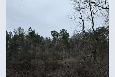 467 County Road 3035, Newton, TX 75966 - Photo 12