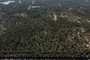 000 Tbd Parrish Trail, Montgomery, TX 77356 - Photo 6