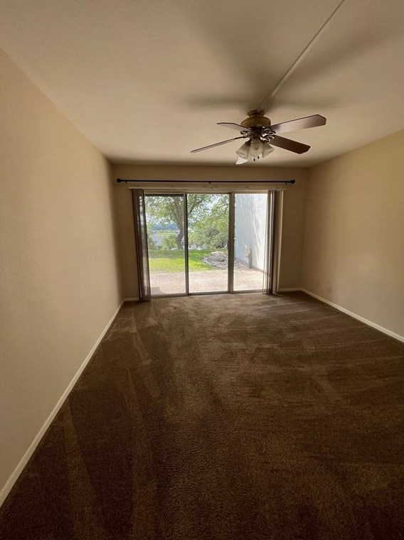 1101 Parkview Dr, New Braunfels TX  78133-3321 exterior