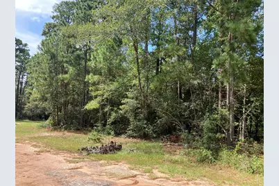 Tbd Mule Deer Trail, Onalaska, TX 77360 - Photo 2