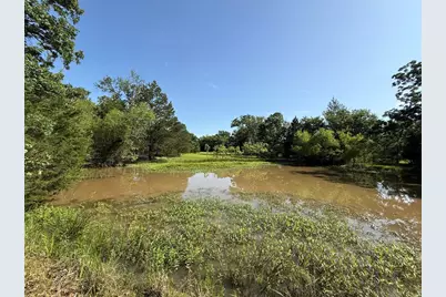 Tract 4 Fcr 611, Teague, TX 75860 - Photo 1