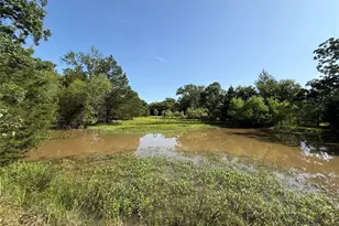 Tract 4 Fcr 611, Teague, TX 75860 - Photo 1