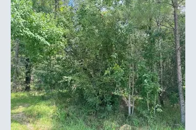 000 Pinewood, Sour Lake, TX 77659 - Photo 2