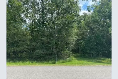 000 Pinewood, Sour Lake, TX 77659 - Photo 1