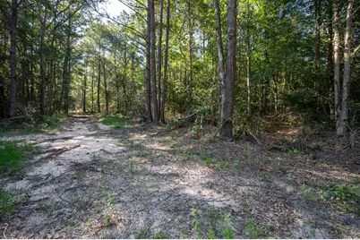 Tbd Co Rd 3000, Woodville, TX 75979 - Photo 1