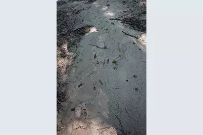 Tbd Co Rd 3000, Woodville, TX 75979 - Photo 8