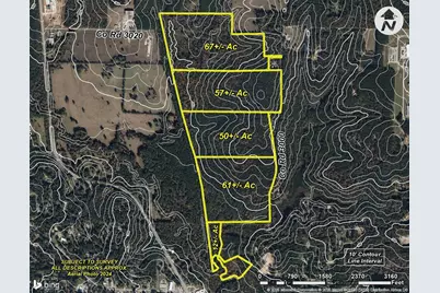 Tbd Co Rd 3000, Woodville, TX 75979 - Photo 10