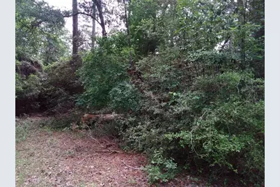 Lot 26 Elk Street, Onalaska, TX 77360 - Photo 24