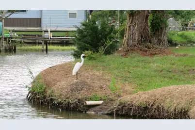 Lot 26 Elk Street, Onalaska, TX 77360 - Photo 18