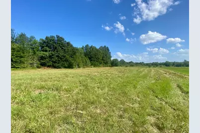 Lot #134 Jb McDuff Drive, Crockett, TX 75835 - Photo 8