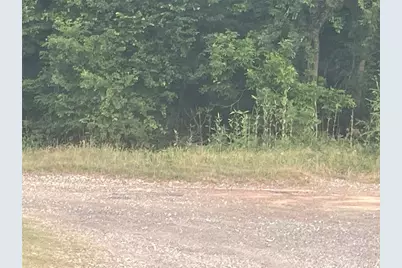 0 Chinquapin Lane, New Caney, TX 77357 - Photo 2