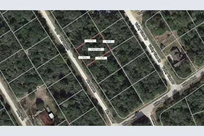 Lot 19 Pin Oak, Normangee, TX 77871 - Photo 2