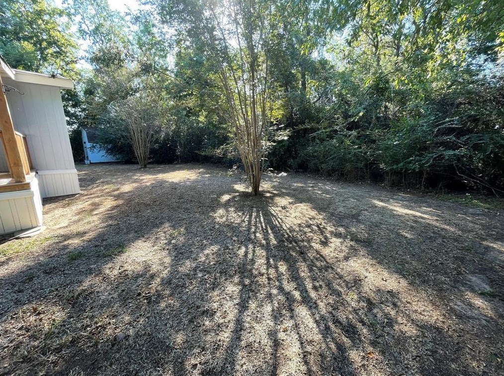 24707 Vireo St, Hockley, TX 77447