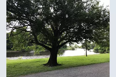 148 Brazil Boulevard, Huntsville, TX 77320 - Photo 8