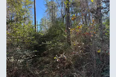 0 Shady Lane, Houston, TX 77336 - Photo 2