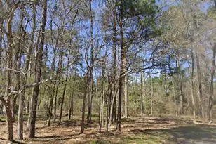 25785 Tupelo Cir, Splendora, TX 77372 - Photo 1