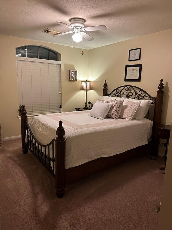 3619 Sunburst Dr, Manvel, TX 77578