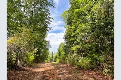7045 State Highway 75, Huntsville, TX 77340 - Photo 4