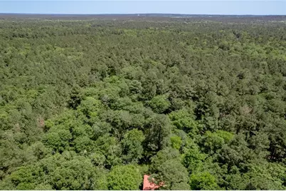 Tbd Roy Webb Road, Huntsville, TX 77320 - Photo 4