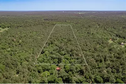 Tbd Roy Webb Road, Huntsville, TX 77320 - Photo 2