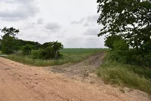 000 Fm 1162, El Campo, TX 77437 - Photo 8