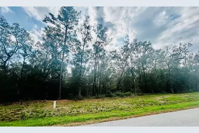 1505 County Road 632, Dayton, TX 77535 - Photo 6