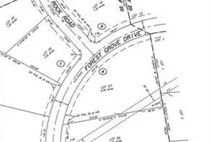 15720 Frst Grv Dr, Willis, TX 77378 - Photo 6