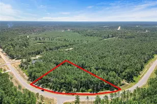 15720 Frst Grv Dr, Willis, TX 77378 - Photo 8