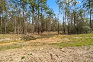 15370 Red Hawk Rd, Willis, TX 77378 - Photo 4