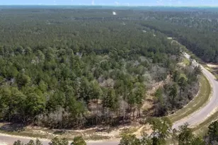 15370 Red Hawk Rd, Willis, TX 77378 - Photo 10