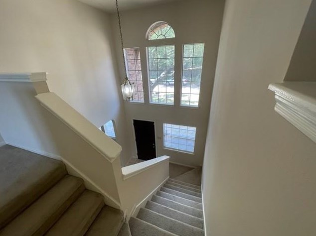13362 Garden Grove, Houston, TX 77082