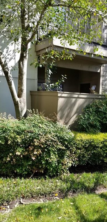 10053 Westpark Dr Apt 333, Houston, TX 77042