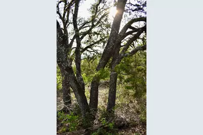 535 Canyon Rock Drive, Spring Branch, TX 78070 - Photo 4