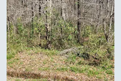 0 Jensen Drive, Cleveland, TX 77327 - Photo 2