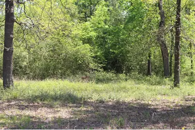 Tract 142 Private Road 1311, Centerville, TX 75833 - Photo 10