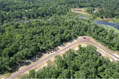 Tract 142 Private Road 1311, Centerville, TX 75833 - Photo 18