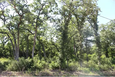 Tract 142 Private Road 1311, Centerville, TX 75833 - Photo 12