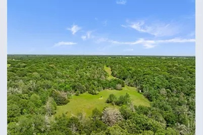 +/- 400 Ac Fm 2289, Normangee, TX 77871 - Photo 14