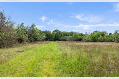 +/- 400 Ac Fm 2289, Normangee, TX 77871 - Photo 8