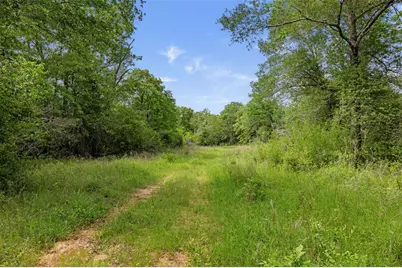 +/- 400 Ac Fm 2289, Normangee, TX 77871 - Photo 4