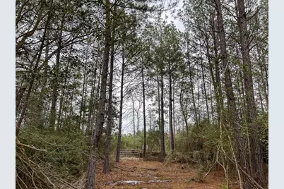 Tbd Cr 4520, Warren, TX 77664 - Photo 6