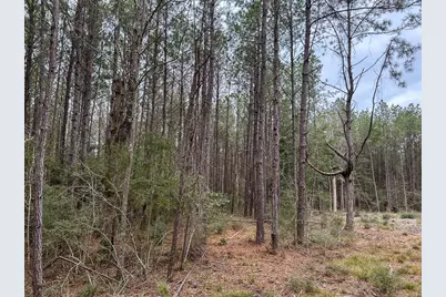 Tbd Cr 4520, Warren, TX 77664 - Photo 4