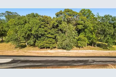 18344 Woodstream Crossing Road, Montgomery, TX 77316 - Photo 2