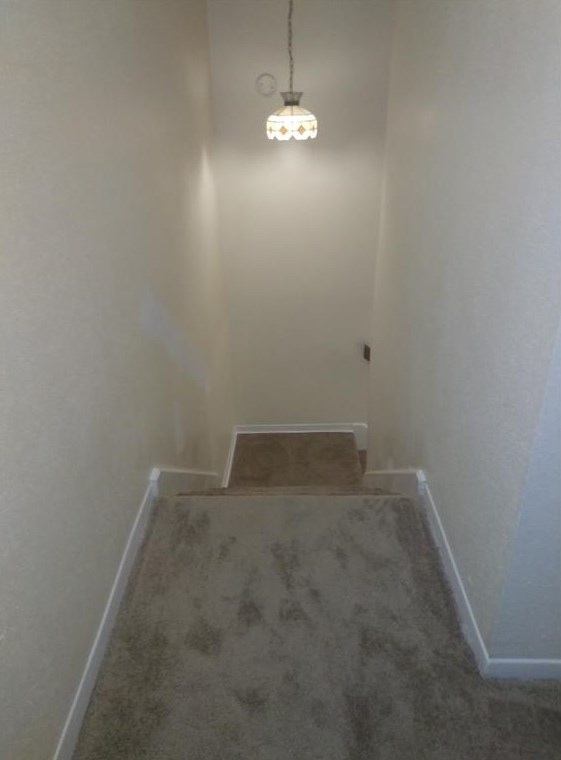 11411 Harwin Dr #10, Houston, TX 77072