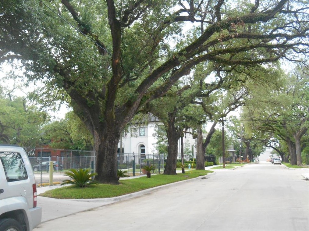 3803 Bute St #1, Houston, TX 77006